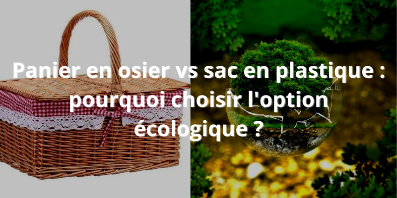 Panier en osier vs sac en plastique : pourquoi choisir l'option écologique ?